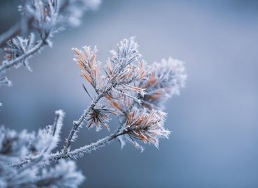 winter.jpg
